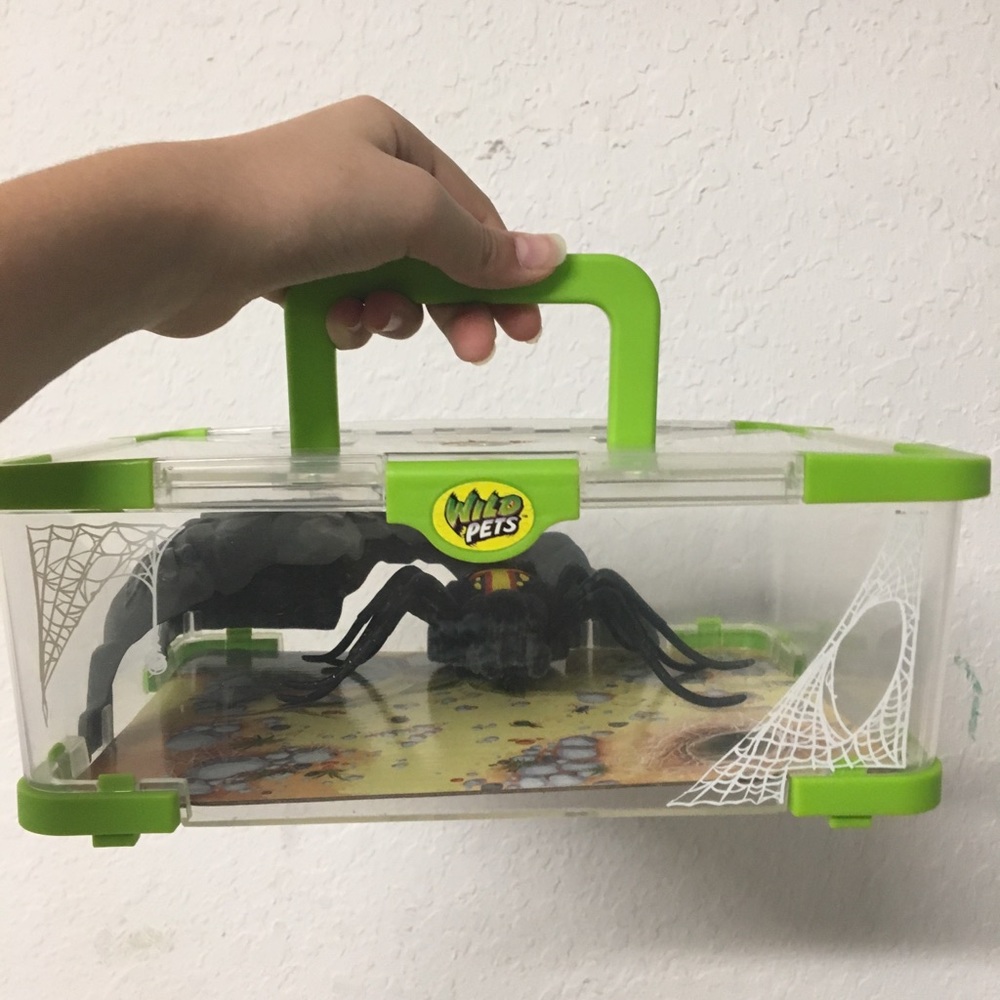 Wild Spider Toy!!